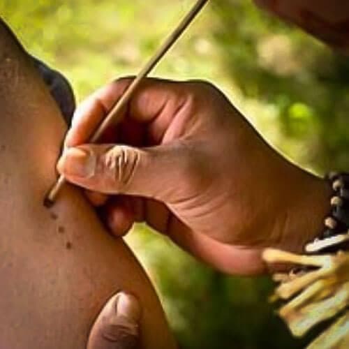 Awakening Retreat Ayahuasca + Kambo + Bufo Tulum gallery image 3