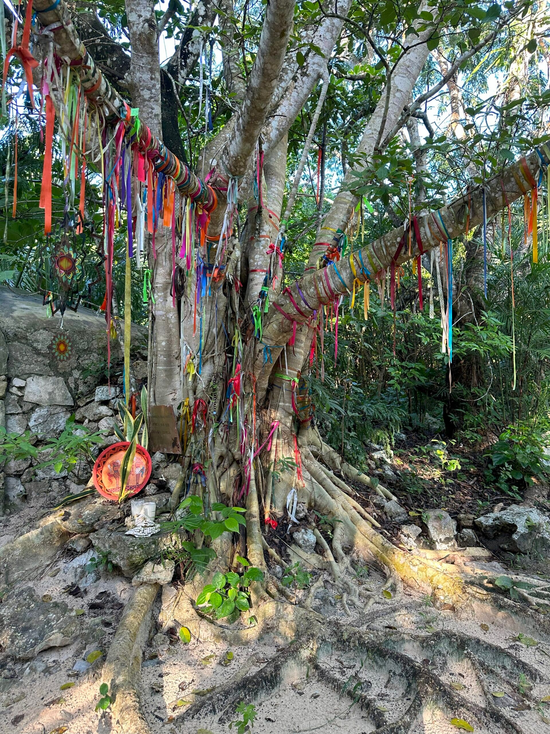Men On The Edge - Men's Retreat With Psilocybin in Tulum and Playa del Carmen