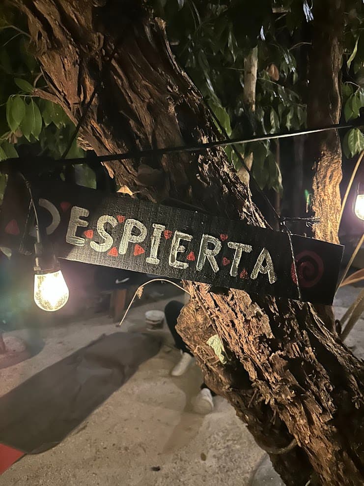 Quiet Palapa Setting for Spiritual Retreat Tulum — AB Tulum Retreats gallery image